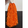 CLB Browns Pom